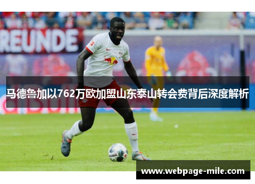 马德鲁加以762万欧加盟山东泰山转会费背后深度解析