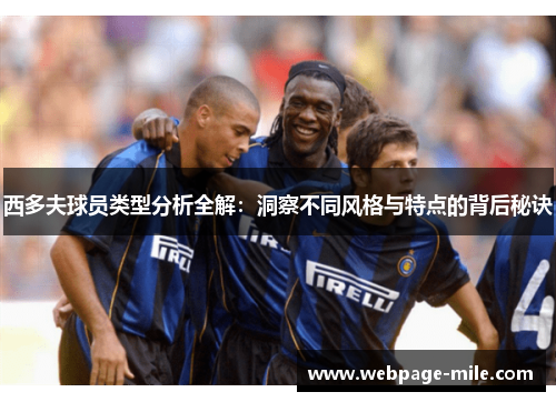 西多夫球员类型分析全解：洞察不同风格与特点的背后秘诀